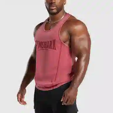 GYMSHARK Heritage Washed Stringer