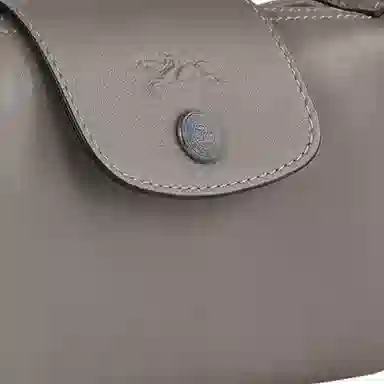 LONGCHAMP Le Pliage Cuir 17