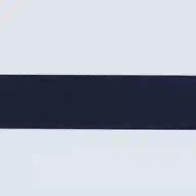 Longchamp Le Pliage 17 Navy White