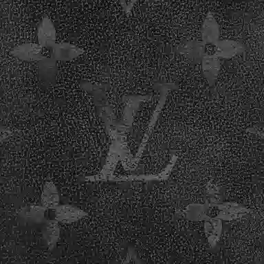 LOUIS VUITTON POCKET ORGANIZER