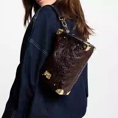 Louis Vuitton Side Trunk MM Brown