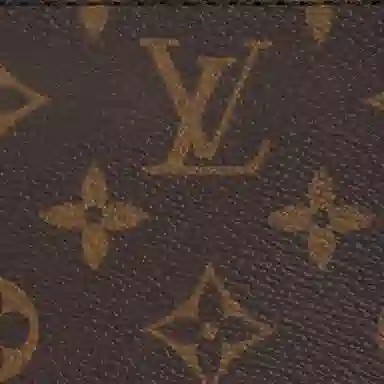 Louis Vuitton Pochette Accessoires