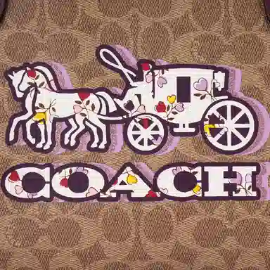 COACH Fiona 24 Tote