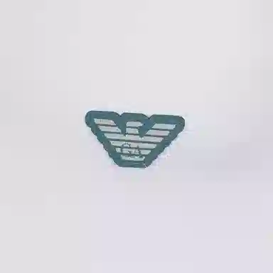 EMPORIO ARMANI SS22 LogoT