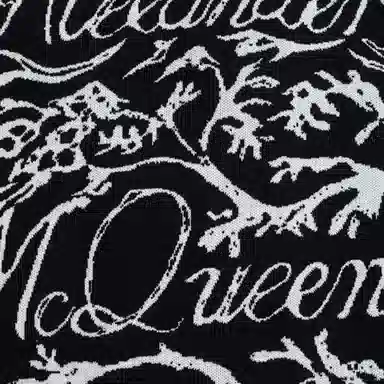 Alexander McQueen FW21 Logo