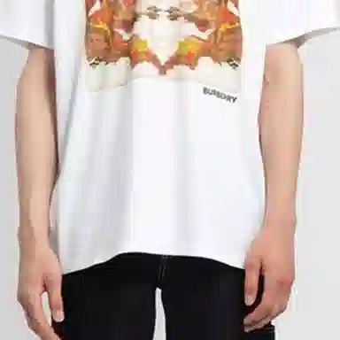 Burberry FW22 T
