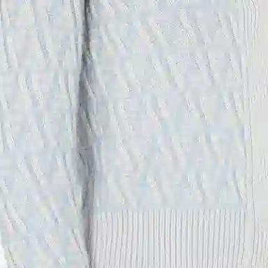 FENDI V