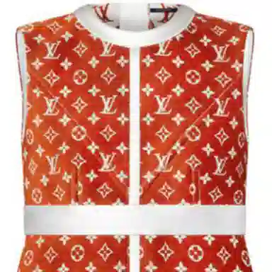 LOUIS VUITTON LV FW22 T