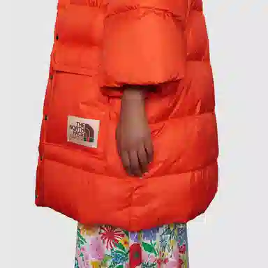 GUCCI x THE NORTH FACE