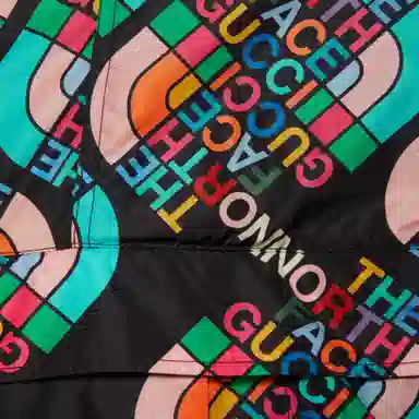 GUCCI x THE NORTH FACE PURPLE LABEL GUCCI x THE NORTH FACE FW22 Logo