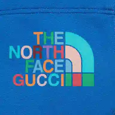 GUCCI x THE NORTH FACE