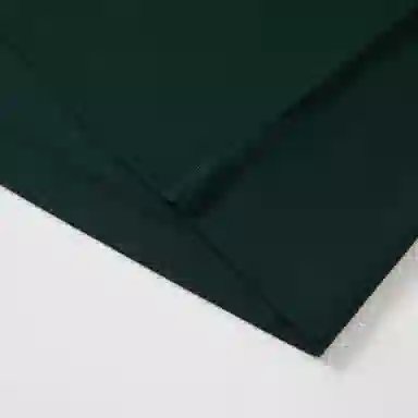 KARL LAGERFELD SS25 T