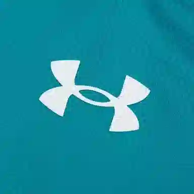 Under Armour LogoV