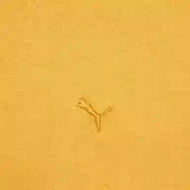 PUMA CLASSICSSelect HAUS T -55