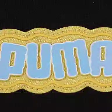 PUMA graphic PT LOGO LogoT -01