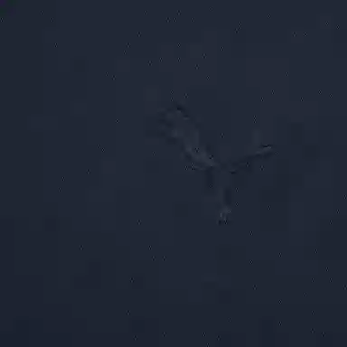 PUMA PrimeESS SS25 RELAXED T -14