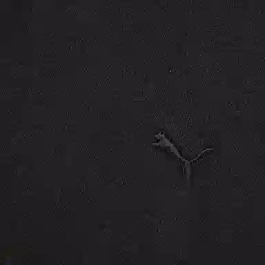 PUMA CLASSICSSelect HAUS T -01