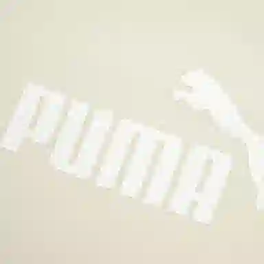 PUMA Logo SS25 T