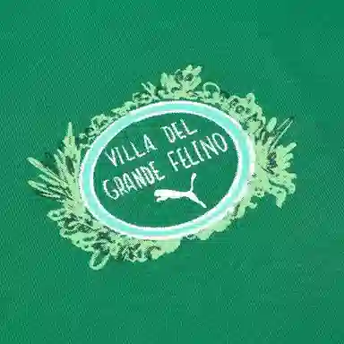 PUMA GRAPHICS SS25 T