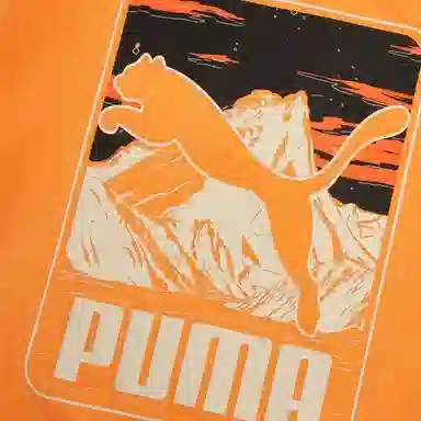 PUMA GRAPHICS MOUNTAIN T
