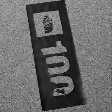 The North Face TNF100 Grey