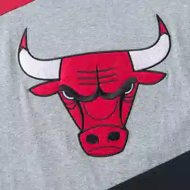 Mitchell Ness NBA logo