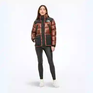 Supreme FW22 Week 7 x The North Face 700-Fill Down Parka Logo