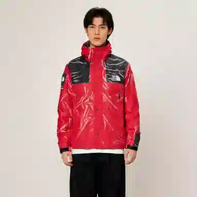 Supreme x The North Face Printed Mountain Pant