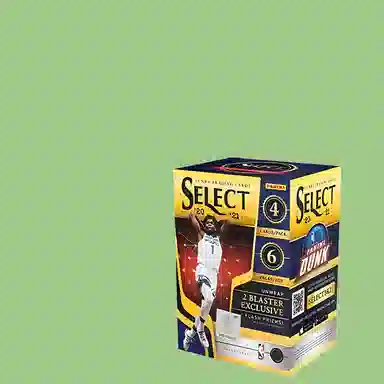 PANINI NBA 20-21 Select Basketball Blaster NBA