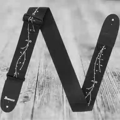 Ibanez GS100TOD TimHenson