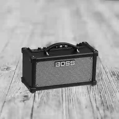 Roland DUAL CUBE LX BOSS