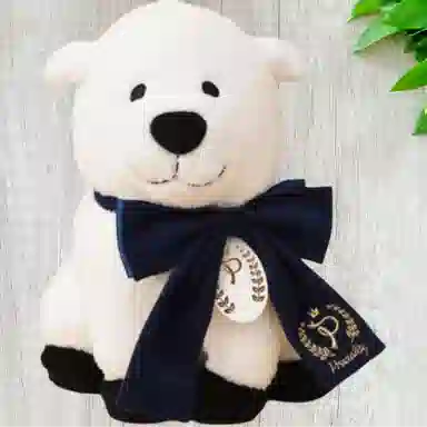 SEGA SPYFMILY Precility SP Vol.4 30cm