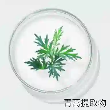 50g+50ml+120ml