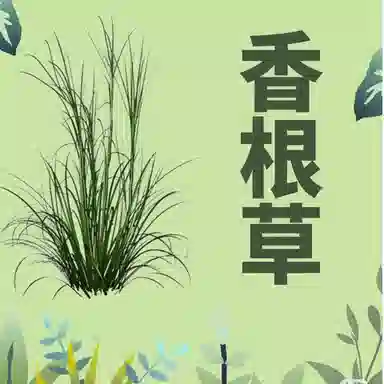 ZARA NAVY BLACK EDT 100ml