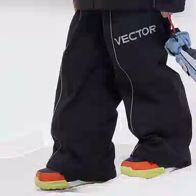 VECTOR Snowpark