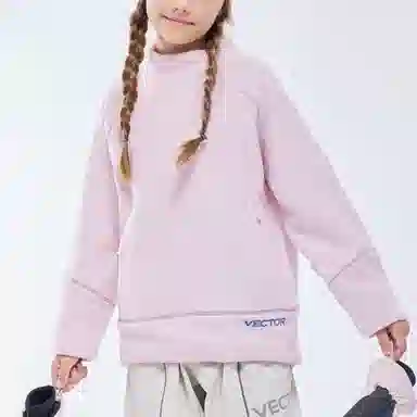 VECTOR Snowpark