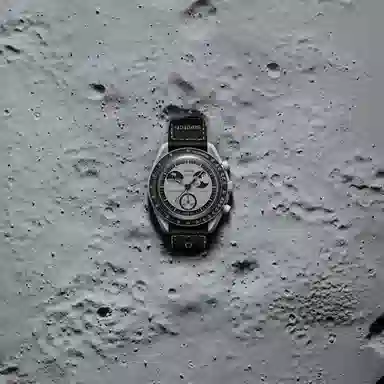 Swatch x Omega Bioceramic MoonSwatch