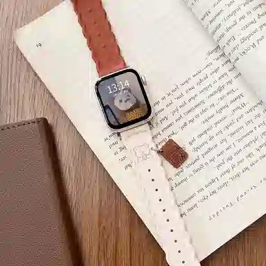 S10Apple WatchS9S8S7SEUltra2 220mm