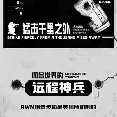 AWM 11cm*21cm*2pcs P346-SK