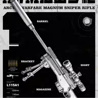 AWM 11cm*21cm*2pcs P346-SK