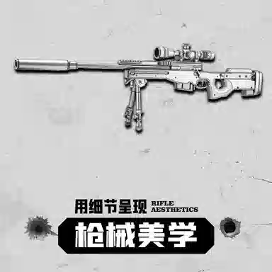 AWM 11cm*21cm*2pcs P346-SK