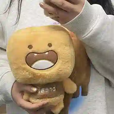 24cm