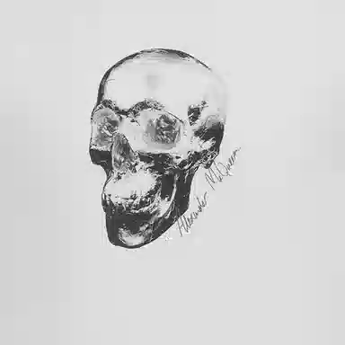 Alexander McQueen SS22 T