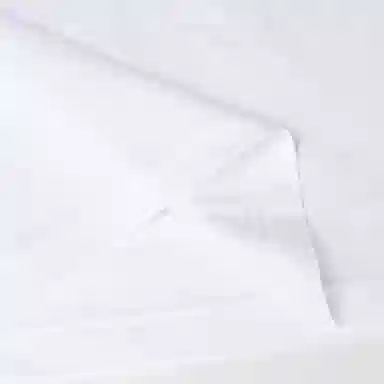 Burberry T