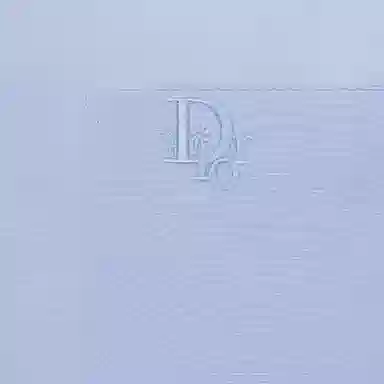 DIOR SS23 By Erl Logo