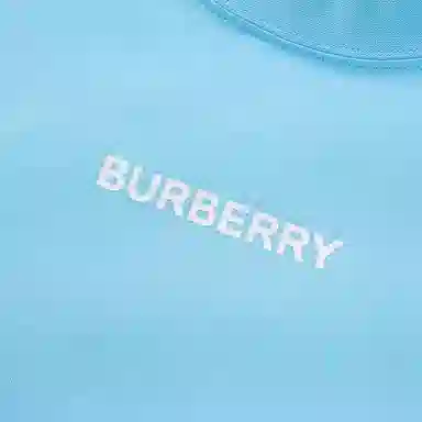 Burberry Logo T