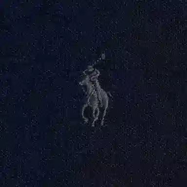Polo Ralph Lauren SS24 LogoPolo