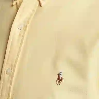 Polo Ralph Lauren Logo