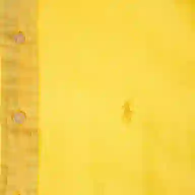 Polo Ralph Lauren Logo