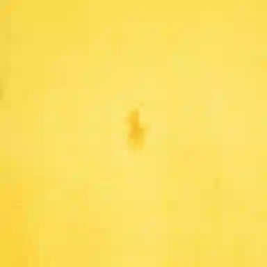 Polo Ralph Lauren Logo